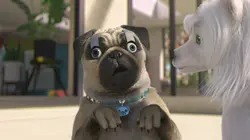 Mike, une vie de chien  S01E23 Toutou tout mou