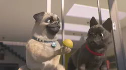 Mike, une vie de chien  S01E37 Duchess maakt de dienst uit