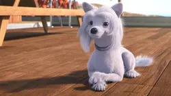 Mike, une vie de chien S01E66 Show devant