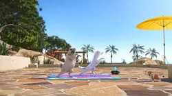 Mike, une vie de chien  S01E65 Dérapage incontrôlé