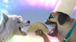 Mike, une vie de chien S01E08 Chaton-laveur