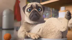 Mike, une vie de chien  S01E65 Dérapage incontrôlé