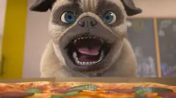 Mike, une vie de chien  S01E45 Pizza Yoyo