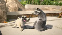 Mike, une vie de chien S01E67 Duo d'enfer