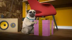 Mike, une vie de chien S01E59 Joyeux anniversaire Mike !