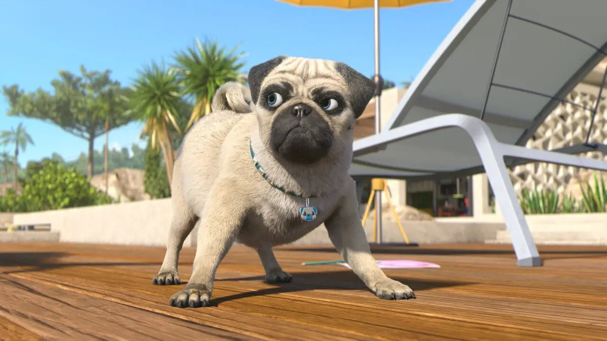 Mike, une vie de chien E113 Agent 000