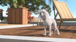 Mike, une vie de chien  S01E26 L'ami des chiens