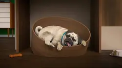 Mike, une vie de chien  S01E37 Duchess maakt de dienst uit