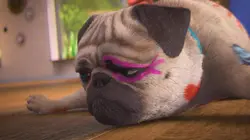 Mike, une vie de chien S01E53 Où est Mike ?