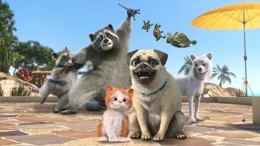 Mes moments préférés