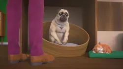 Mike, une vie de chien S01E77 Attention chat fugueur