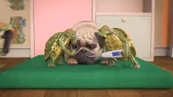 Mike, une vie de chien S01E78 Malade comme un chien