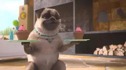 Mike, une vie de chien S01E59 Joyeux anniversaire Mike !