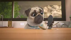 Mike, une vie de chien S01E70 La folie des grandeurs