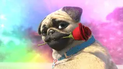 Mike, une vie de chien S01E44 Danse avec Mike