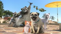 Mike, une vie de chien S01E73 Un chat pas tout blanc