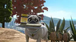 Mike, une vie de chien S01E76 A la niche !