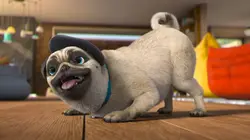 Mike, une vie de chien S01E12 Allô Mike !