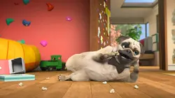 Mike, une vie de chien S01E13 Agent triple 0