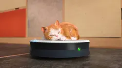 Mike, une vie de chien S01E39 Robotix 3000