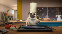 Mike, une vie de chien S01E70 La folie des grandeurs