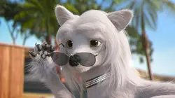 Mike, une vie de chien S01E75 Tanière piégée