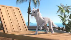 Mike, une vie de chien