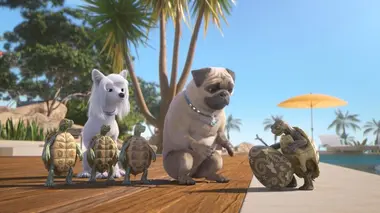 La quatrième tortue