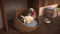 Mike, une vie de chien S01E12 Allô Mike !