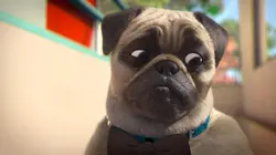 Mike, une vie de chien S01E13 Agent triple 0