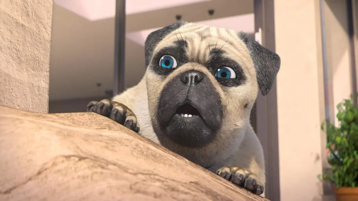 Mike, une vie de chien S01E26 L'ami des chiens en streaming