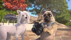 Mike, une vie de chien S01E25 Mike et les paparasites