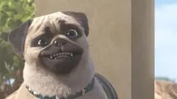 Mike, une vie de chien S01E20 Fluffystein