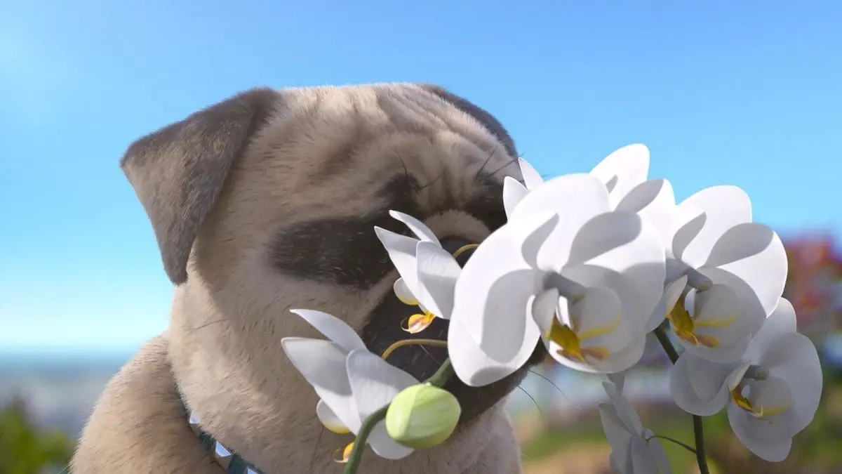 Mike, une vie de chien S01E38 A tes souhaits, Mike