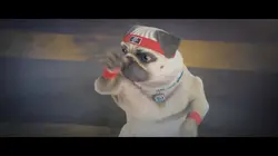 Mike, une vie de chien S01E49 Karaté Mike