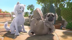 Mike, une vie de chien  S01E69 Les ratons de Troie