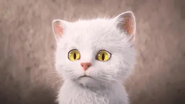 Un chat pas tout blanc