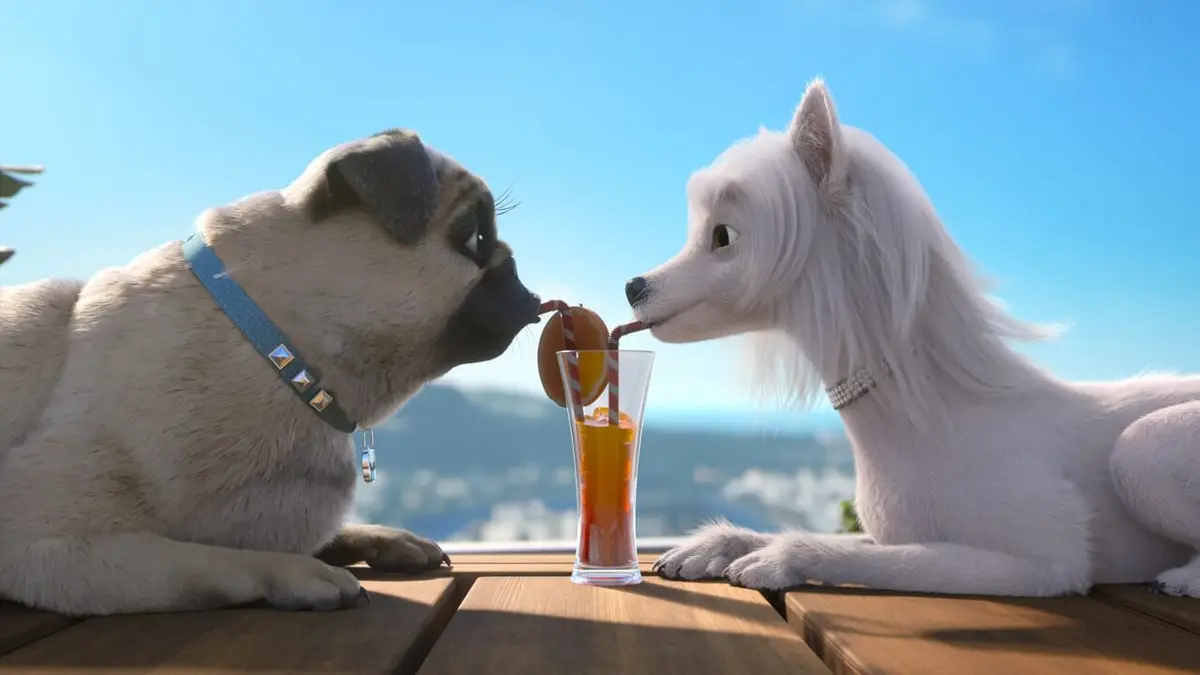 Mike, une vie de chien S01E74 Tortues musicales