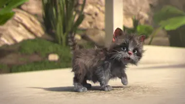 Mike, une vie de chien S01E08 Chaton-laveur