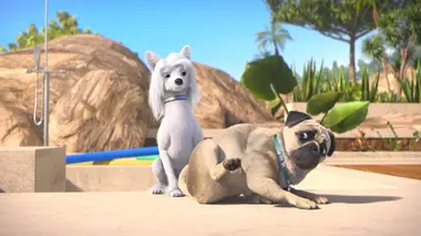 Mike, une vie de chien S01E21 La puce à l'oreille