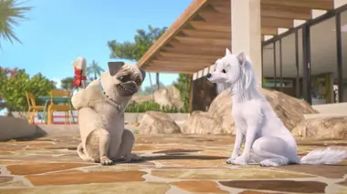 Mike, une vie de chien S01E45 Coup de sifflet