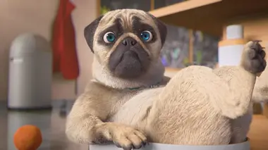 Mike, une vie de chien S01E65 Dérapage incontrôlé