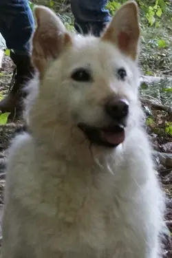 Photo Mikey Mitchell