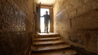 Mille et une Egyptes Les animaux