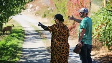 Millionnaire incognito Le manifeste