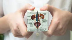 Mimi en mission : Education sexuelle