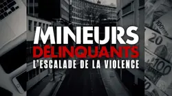 Visuel de Mineurs délinquants : l'escalade de la violence