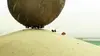 Minuscule 2 : les mandibules du bout du monde