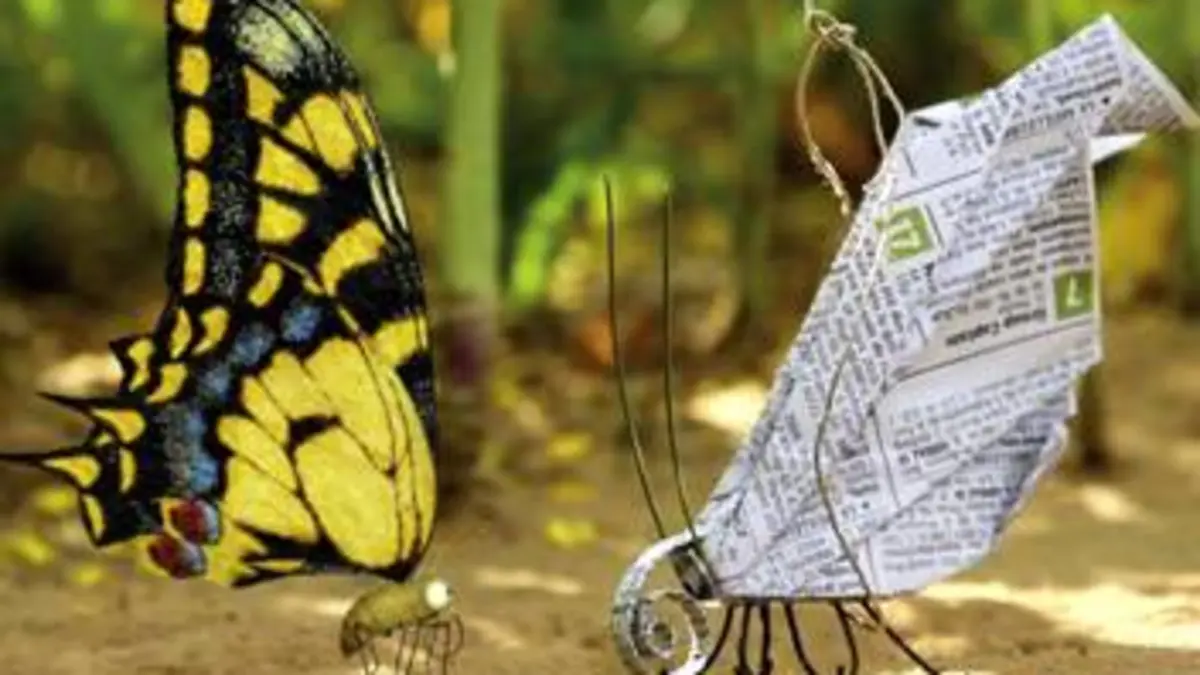 Minuscule S02E00 Coup de soleil