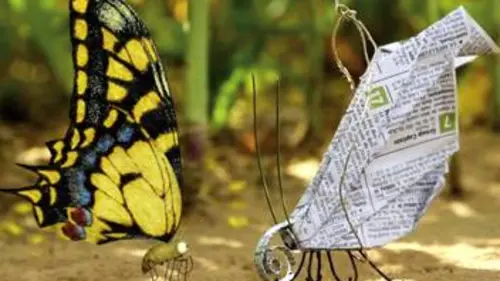 Minuscule S02E00 Coup de soleil